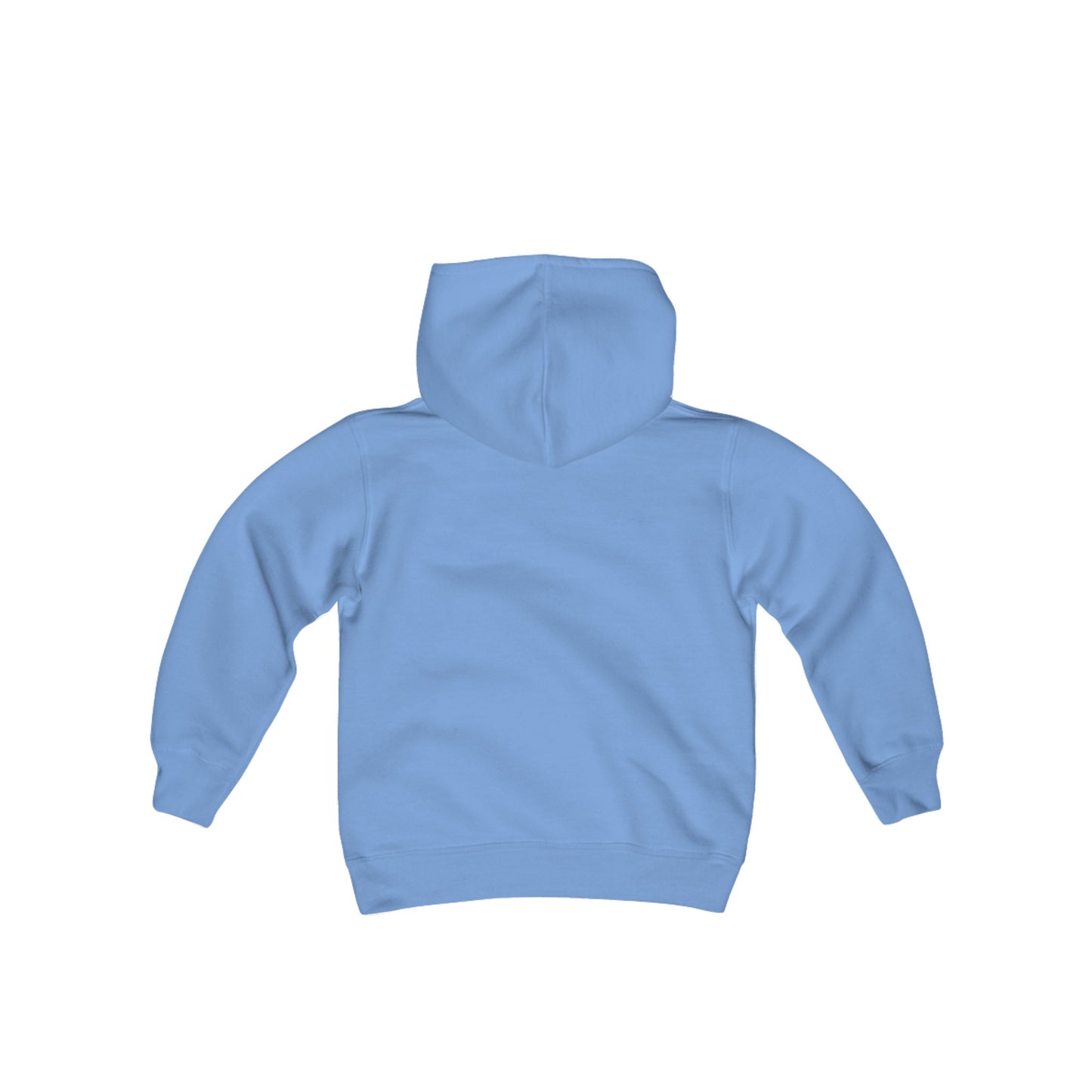 Youth Hooded Sweatshirt - I'm Just Here for the Snacks