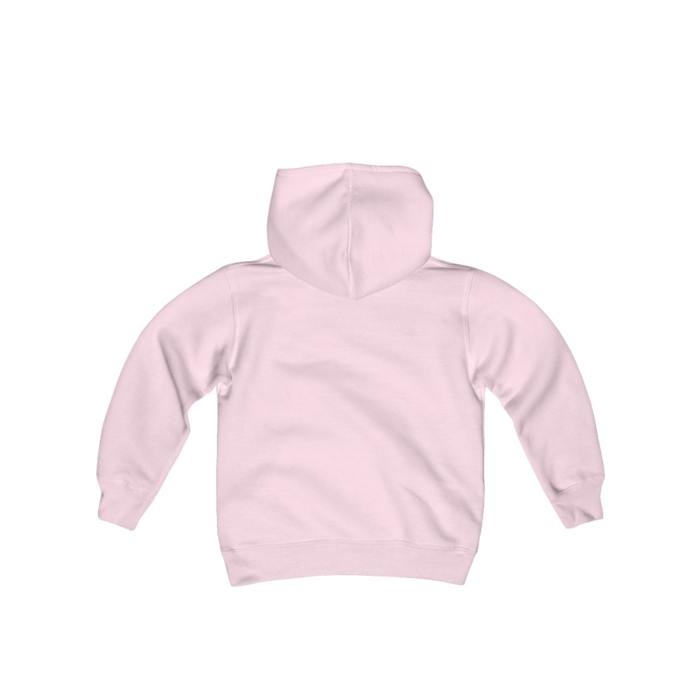 Youth Hooded Sweatshirt - I'm Just Here for the Snacks